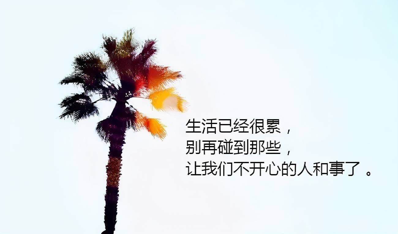 自嘲才是幽默嘲笑别人是没教养早安