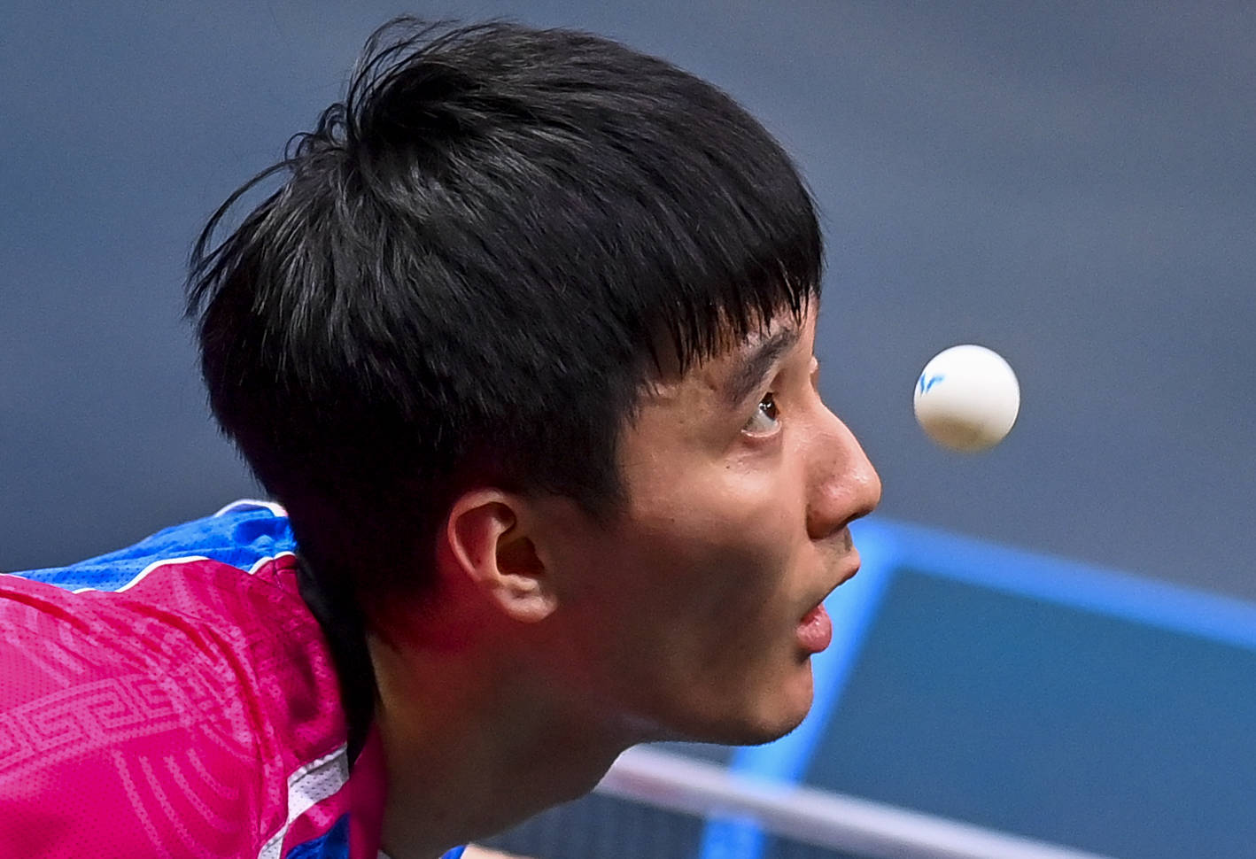 乒乓球——多哈wtt挑战赛:张本智和晋级八强