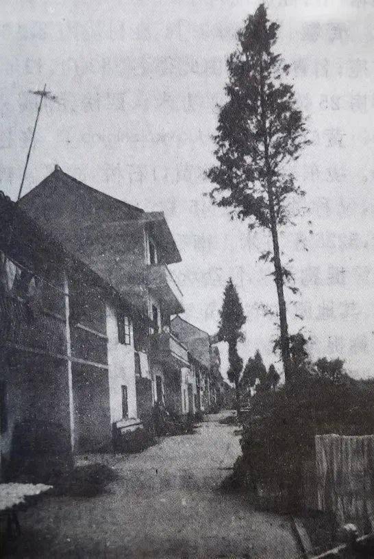 上世纪80年代的钱圩,历史的照片,沧桑的感觉合并后的金山卫镇图.