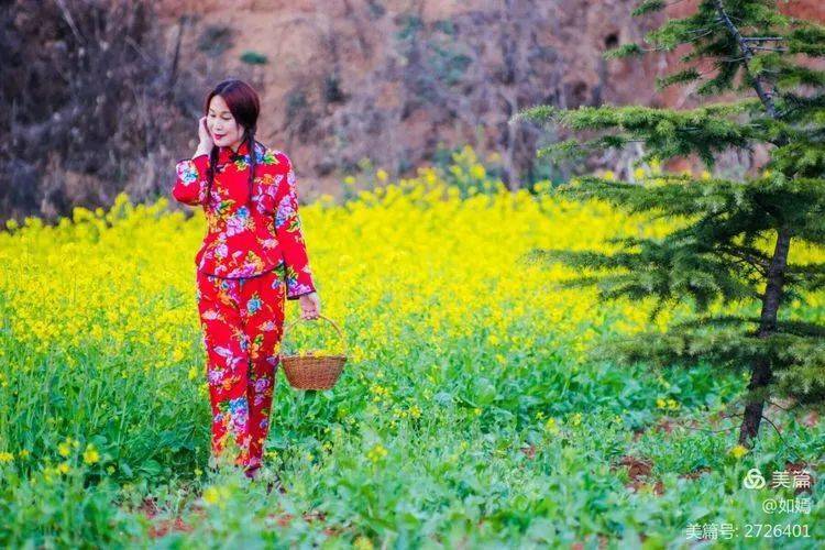 春天来了,油菜花开了,在这灿若金黄的花丛中,轻轻的开启斑斓的梦想,让