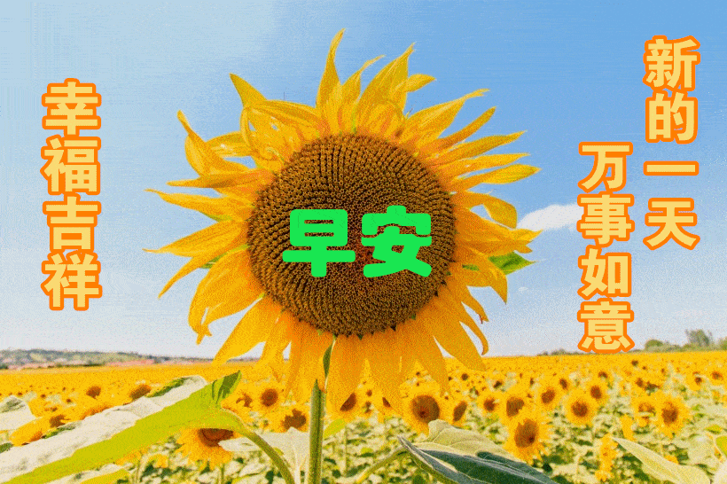 不用打字就可以聊天的图片