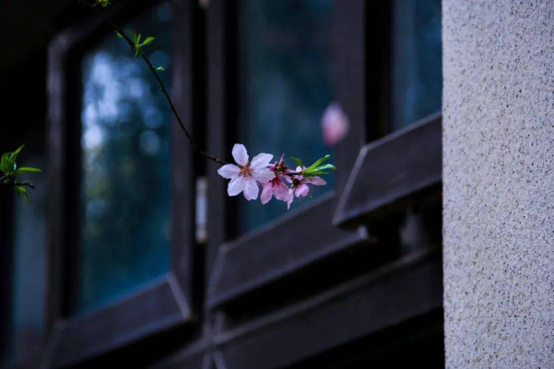 一点雨星 bc952586f41b4002a405ec8fa99ec4b6.jpeg