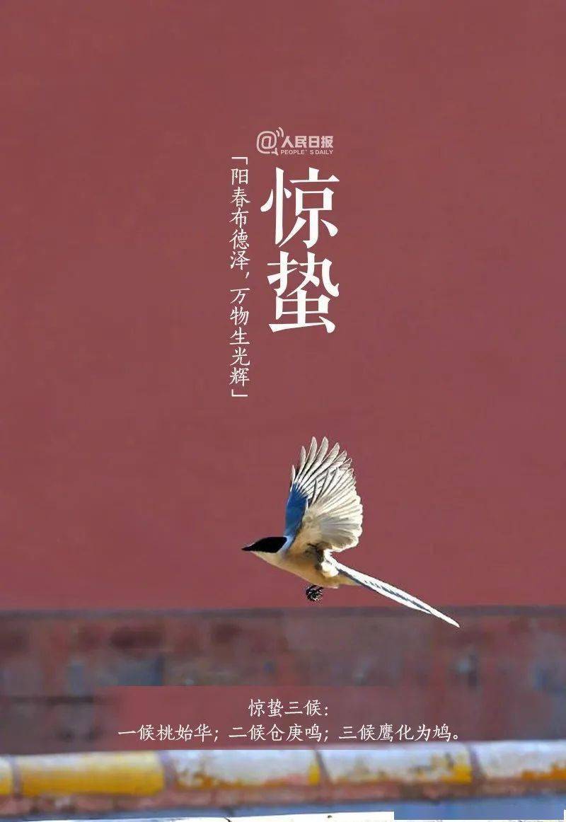 惊蛰到,和裕隆典当一起迎接春天!