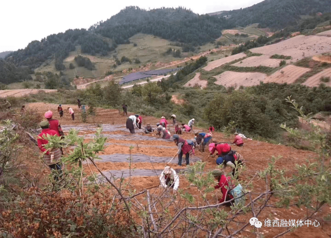 书村多少人口_博社村人口多少(2)