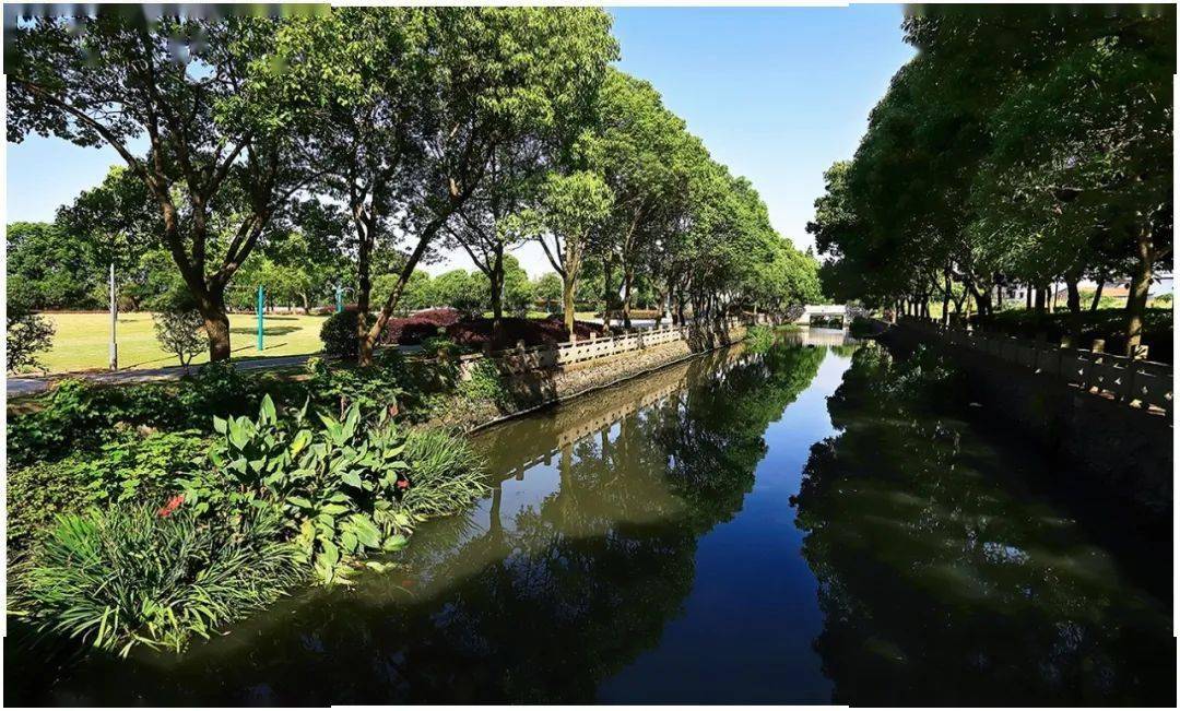 江北区庄桥街道六举措推进冬春季水环境治理百日攻坚战