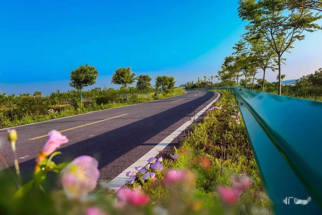 漳河环库公路国省道升级改造今年荆门46亿元投向交通建设领域