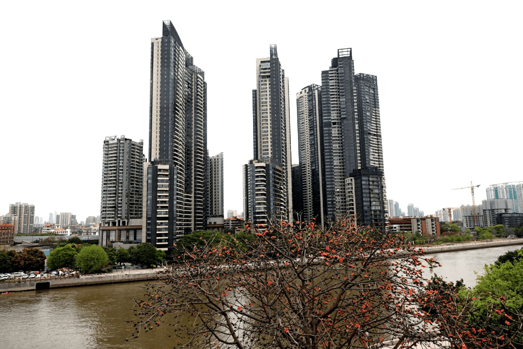 群花拥簇下的大坦沙岛快来这些地方打卡踏春