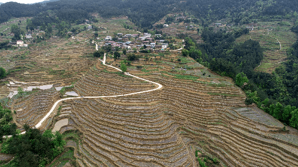 精心组织精准发力推动丰都青龙乡脱贫攻坚取得显著成效