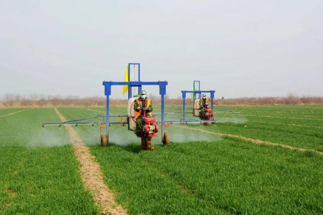 秦都狠抓春季田间管理