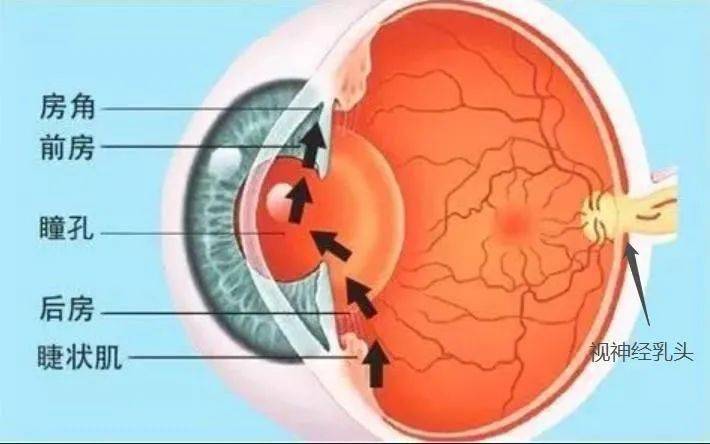 是谁偷走了儿童视力