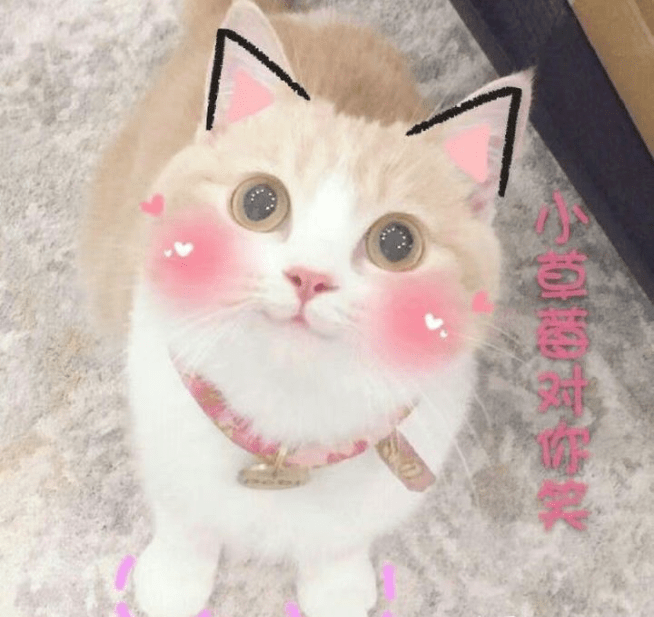 5bb39cf5baef4294bd10885e16e3a726.png