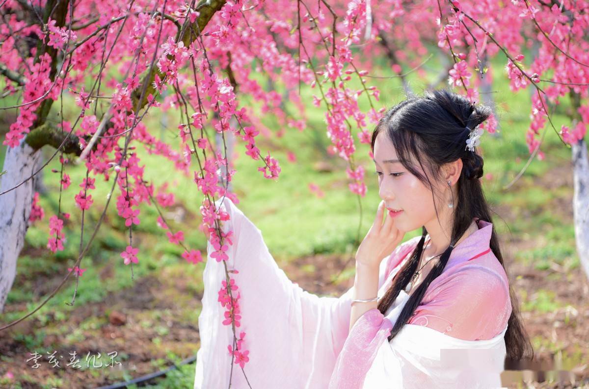 株洲十里桃林如期绽放古风穿越美若仙境令人心醉
