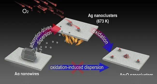 中科院历届gdp研究_中科院徐涛图片(3)