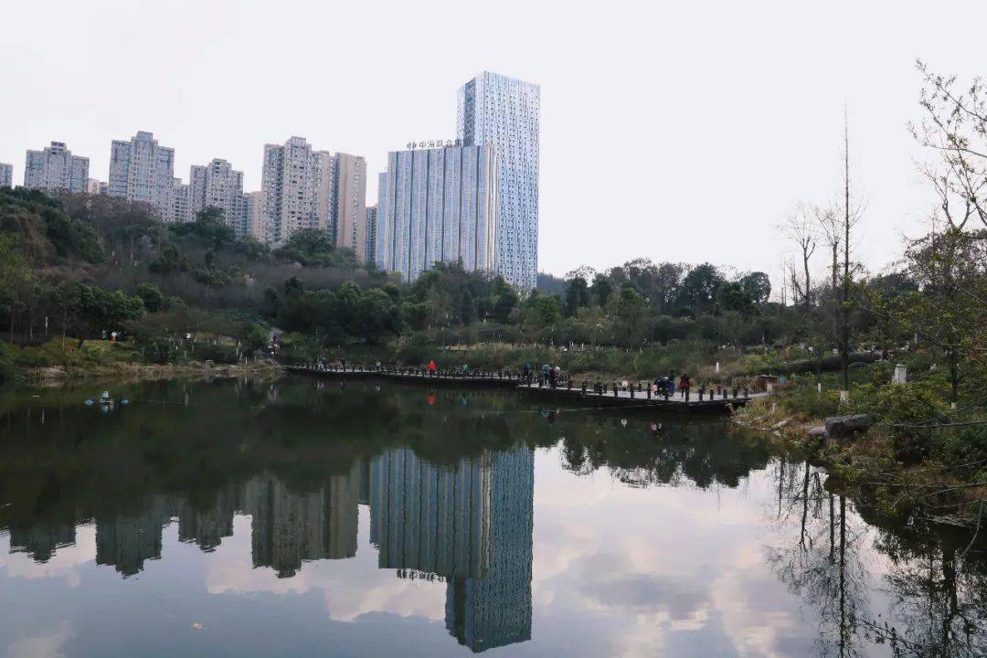 10处自贡市内春日打卡地,现在去刚合适!_公园