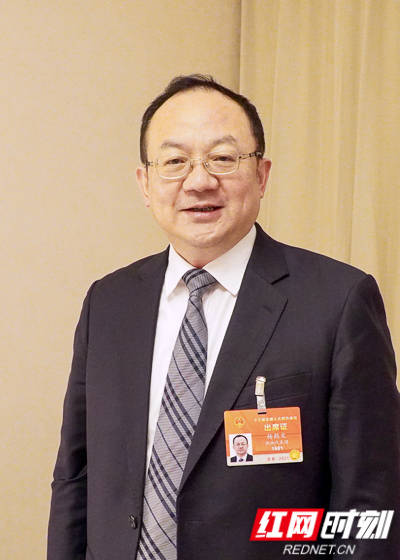 全国人大代表,娄底市委副书记,市长杨懿文.