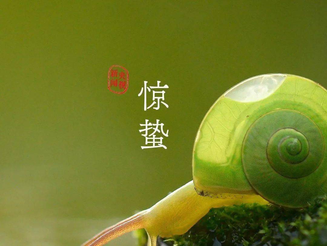 惊蛰一声春雷蛰虫萌动