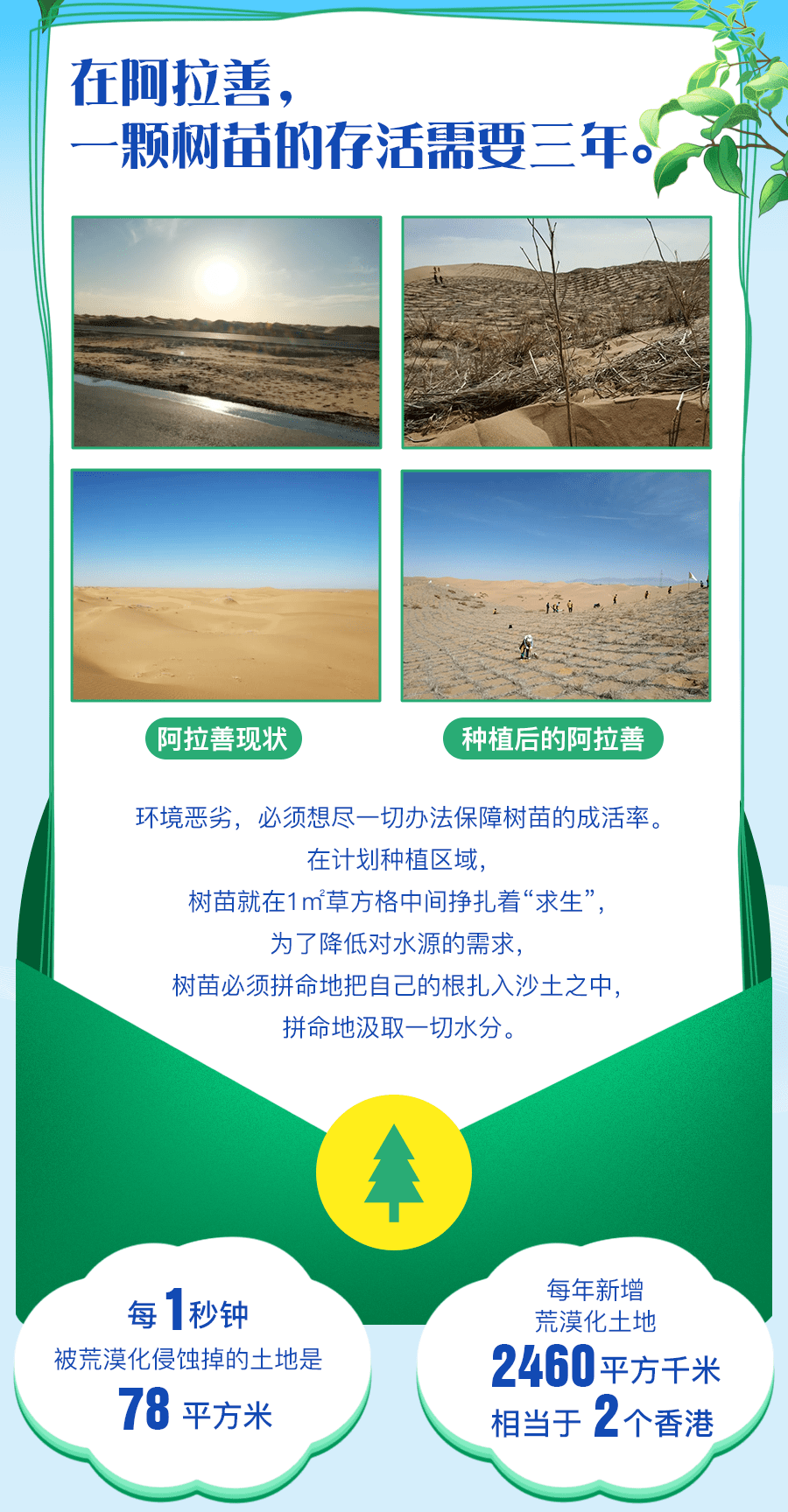 万人亲子植树节您的五块钱绿化了20000平米的沙漠