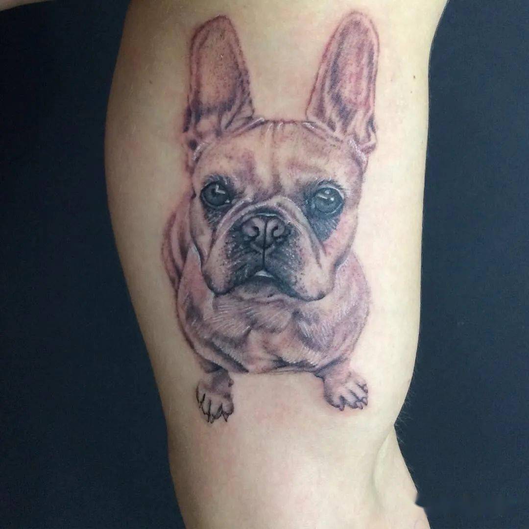 狗狗身上纹身图片