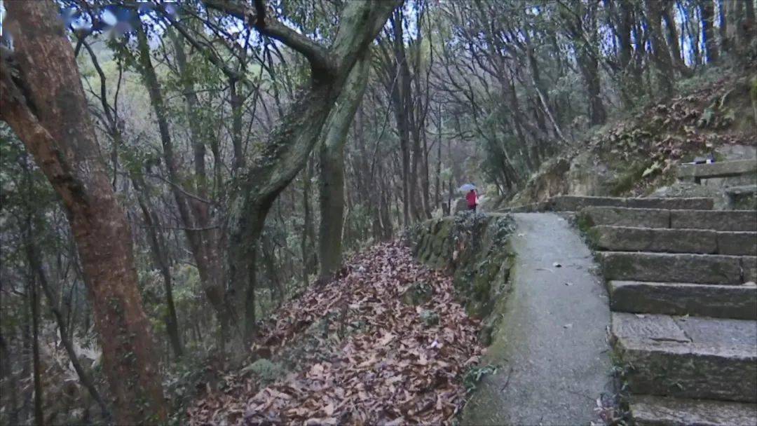 定海海山公園登山道2月26日定海長崗山森林公園登山道也是國家登山