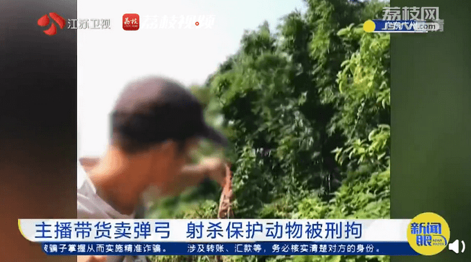 主播为卖弹弓拍摄打鸟视频被拘！