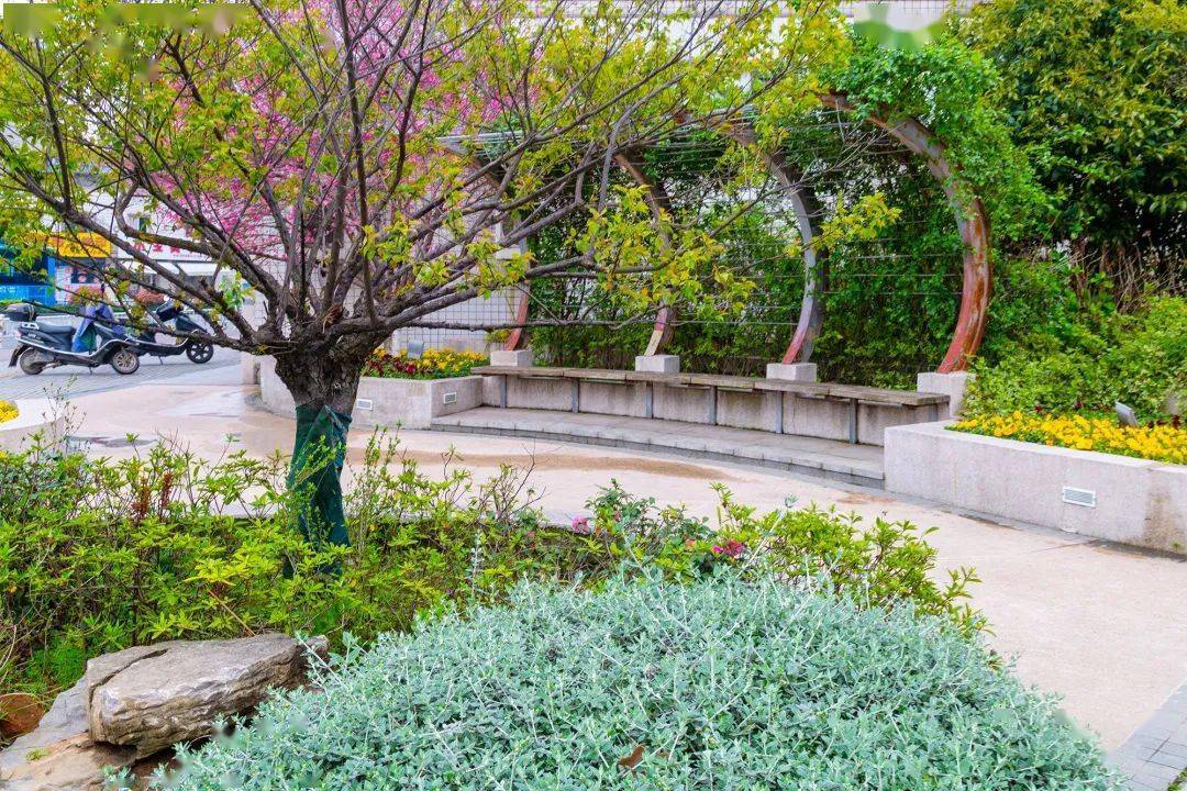 人美景美邀您一起过节,桐乡建设巾帼为口袋公园代言_交叉