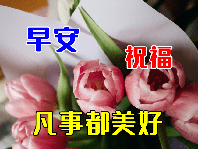 ec267bcf0be840978bfd292c30010b13.png