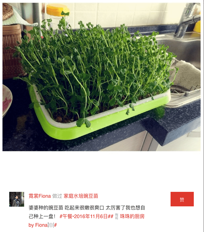 青菜太素没滋味 这几样一起炒比肉香 有吧新闻