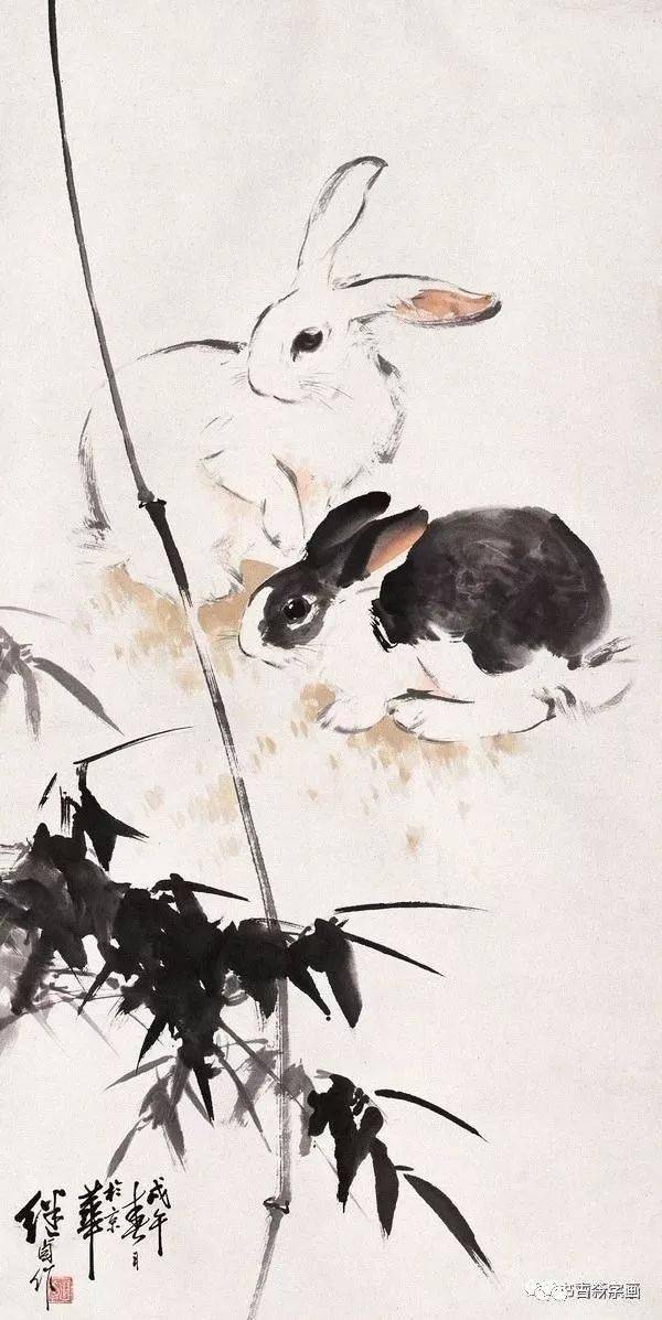 传神妙笔一代大师画兔
