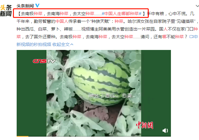 56fa9342c6a84b47ab3ce49f59df00a8.png