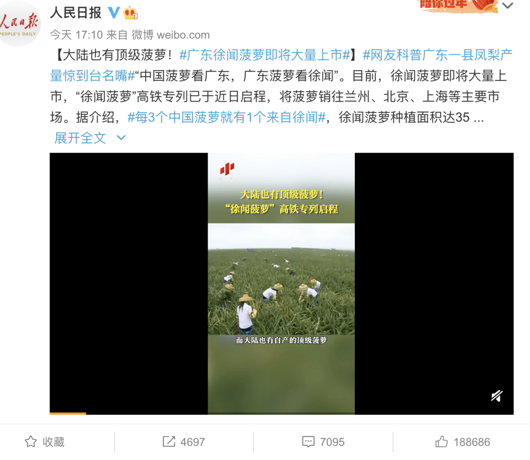 大陆暂停进口台湾菠萝，菠萝英文为什么是pineapple？_搜狐网