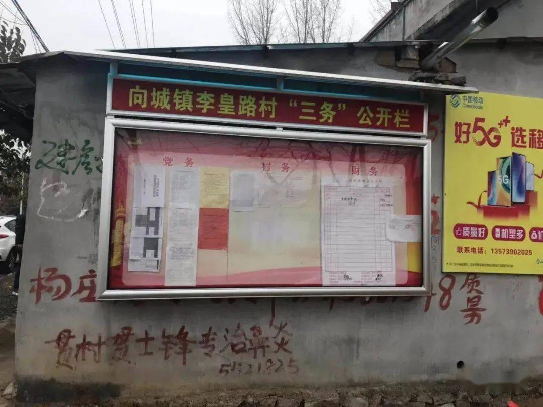 向城镇,新兴镇,兰陵镇,南桥镇建设督导检查情况通报