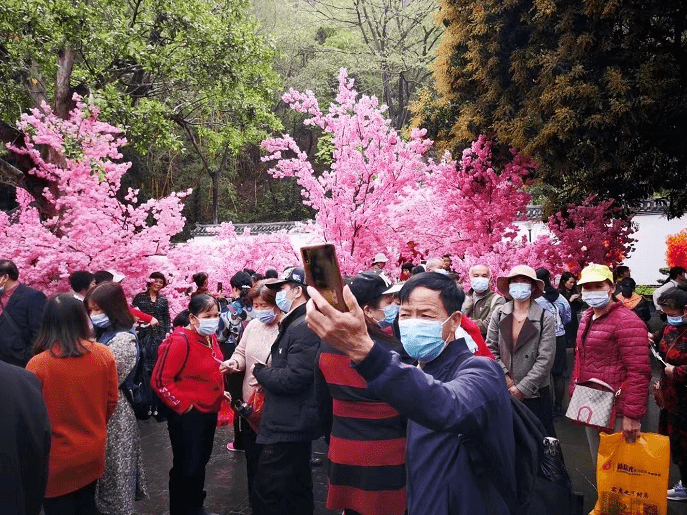 出游丨女神节前夕 兴业鹿峰山·龙泉洞景区迎来游客高峰!