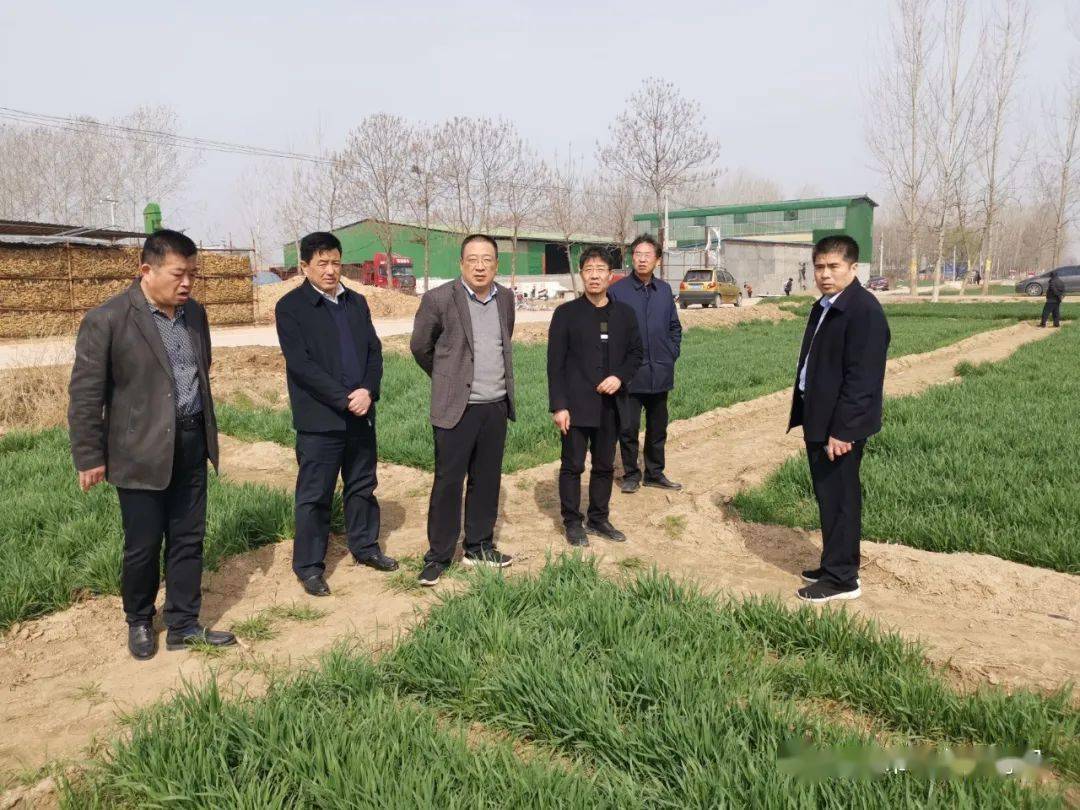 张炎耀指出,目前正是小麦春季管理的关键时期,开展农