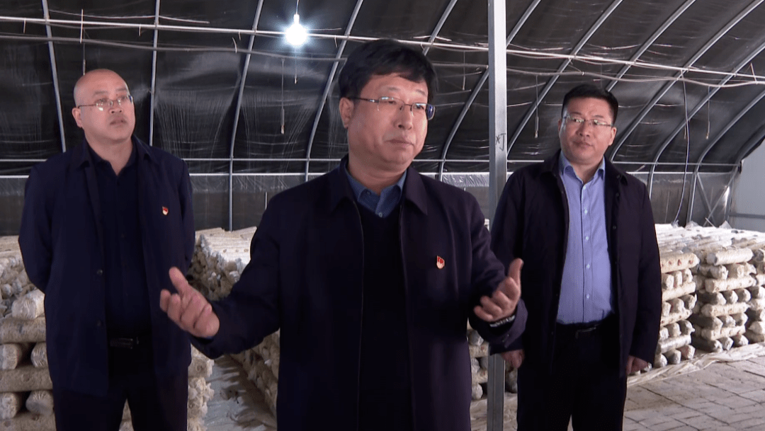 徐延杰到龙泉仙台调研产业发展和乡风文明建设等工作