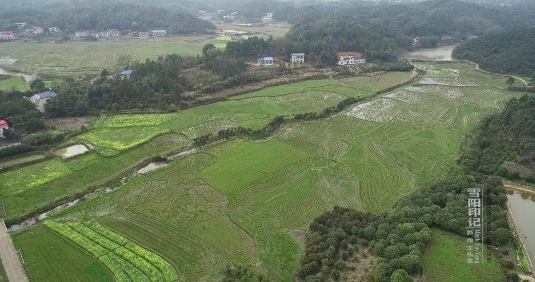 雷州市乌石镇那毛寸人口_雷州市乌石镇图片(2)