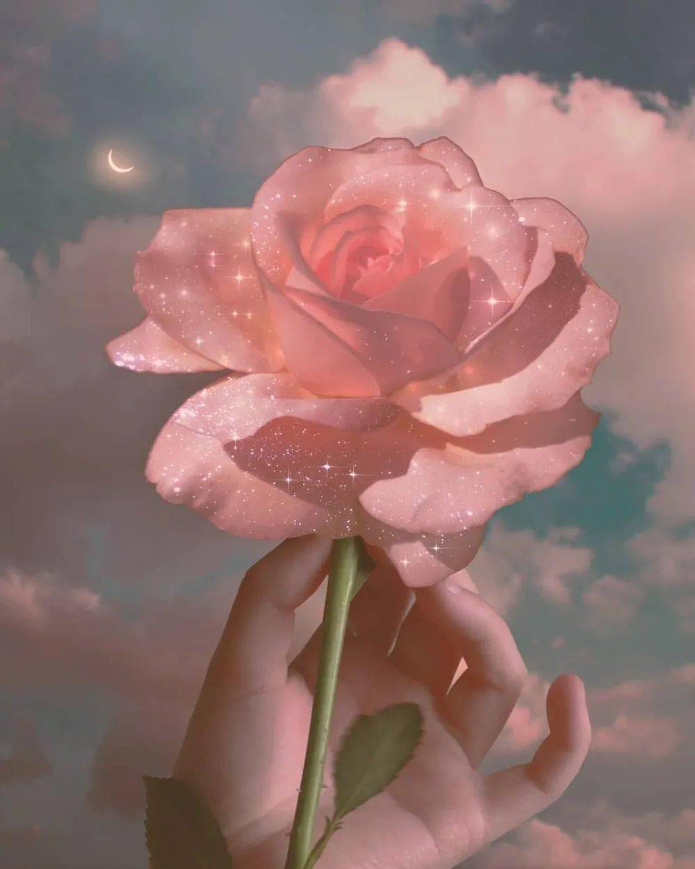 三八女神节快乐!_女王