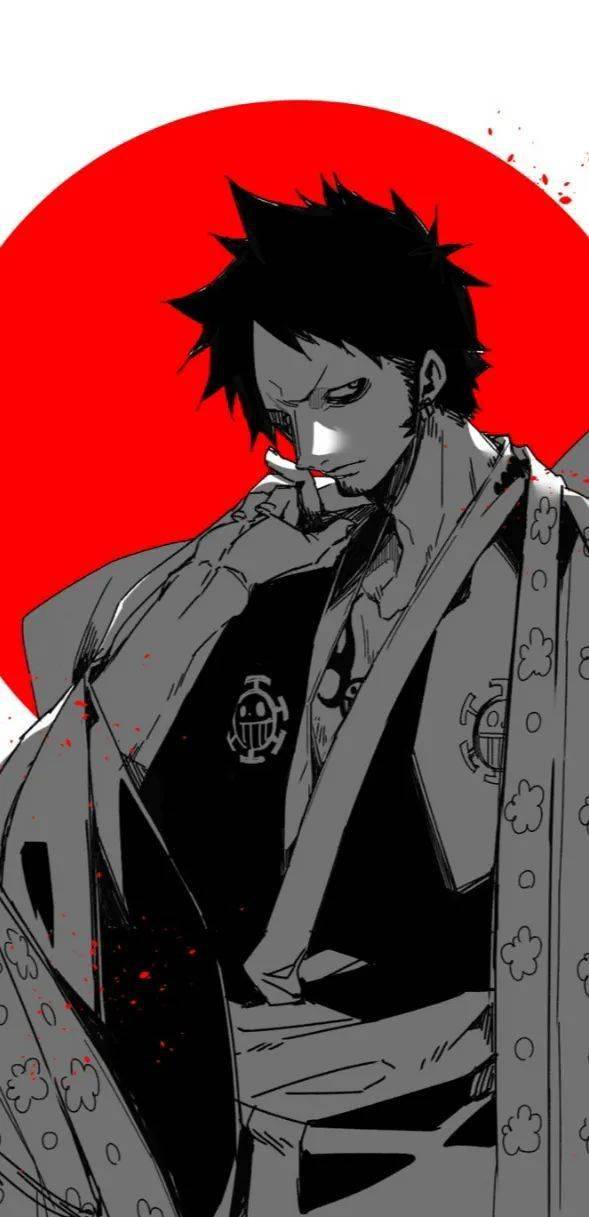 海贼王壁纸|今日份罗.