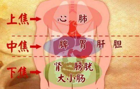 搞懂三焦，疑难杂症迎刃而解