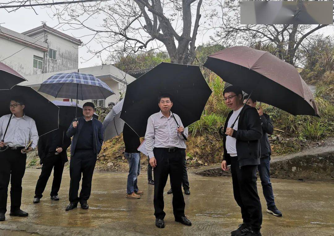 龙川县委书记黄海生要求以"绣花"功夫抓好乡村精细化管理,全面提升