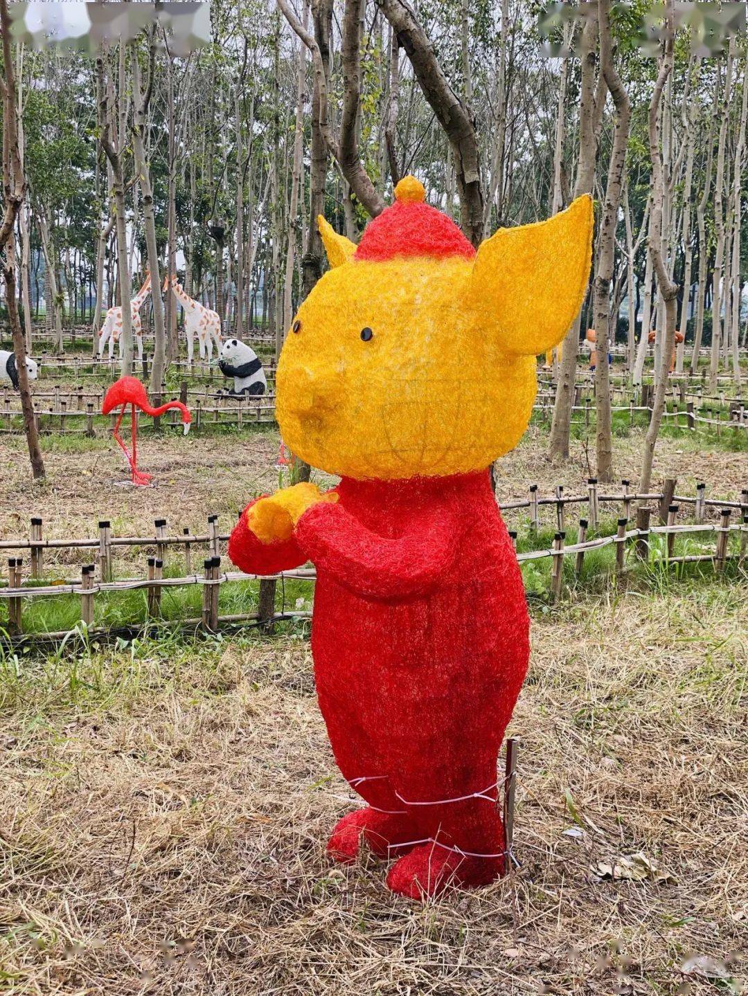 租吸氧机怎么收费¥699起睡云端凯悦酒店，打卡上海最美图书馆&网红剧院！_https://www.jmylbn.com_新闻资讯_第78张