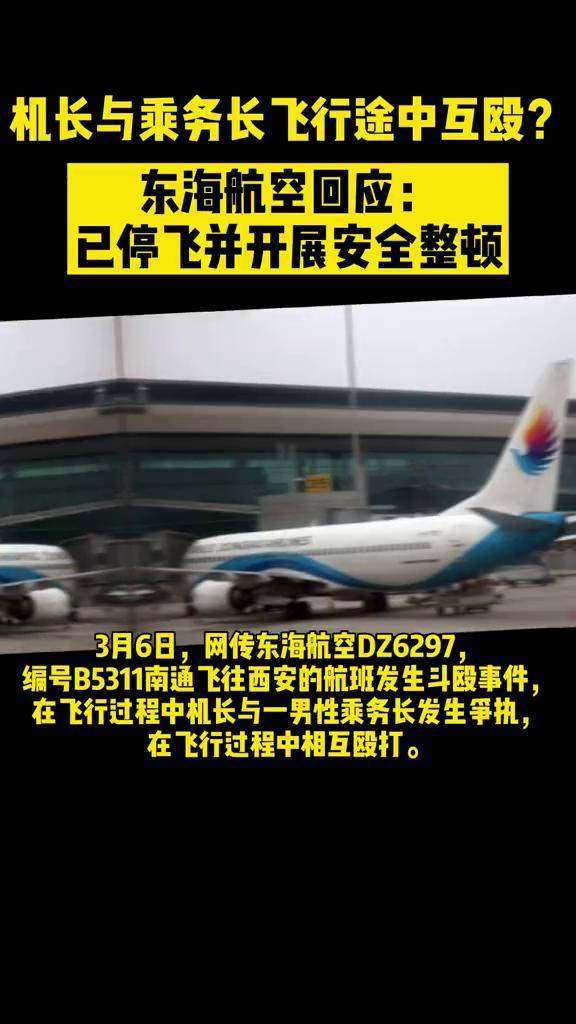 机长与乘务长飞行途中互殴东海航空回应已停飞并开展安全整顿