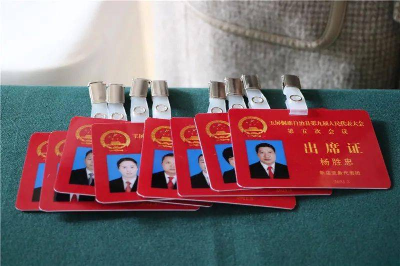 自觉扫描健康码,积极配合体温监测,做好登记,井然有序地领取参会证件