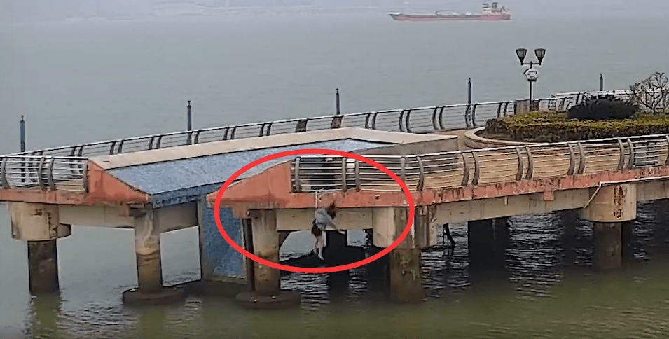 东莞一女子接个电话,突然跳海轻生.