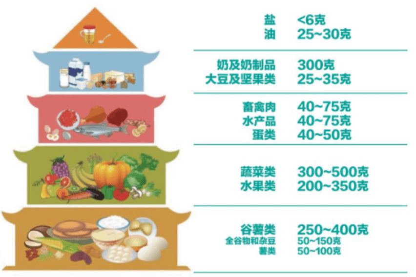 什么是高热量高蛋白和维生素 a544d02c95ef4ab3867318795178e77b.png