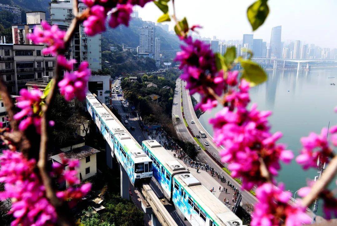 全国人大代表渝中区委书记黄玉林精心扮靓城市名片近悦远来主客共享
