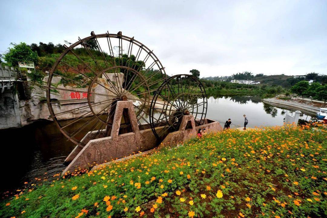 "截至目前,全区共有鼎山街道艾坪社区,先锋镇绣庄村,油溪镇大坡村等3
