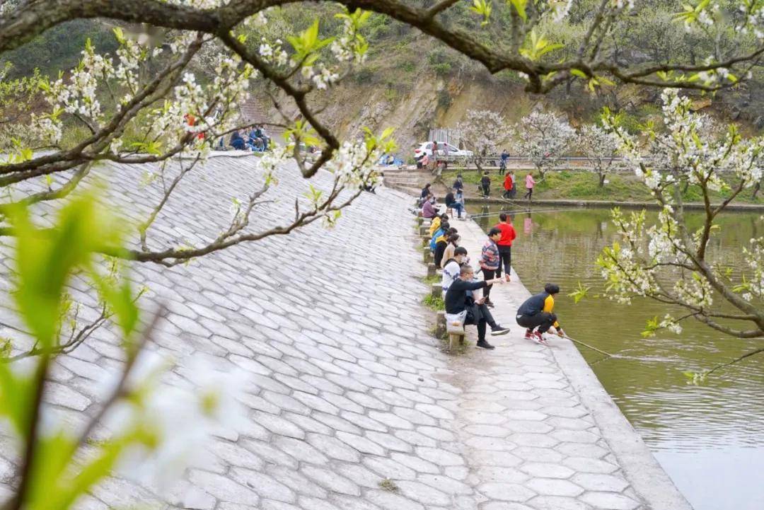 地址:北碚区三圣镇三生三世桃花园