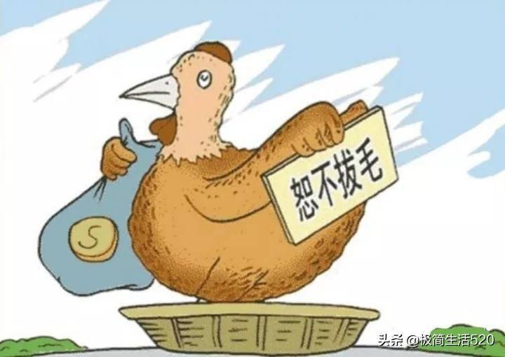成语不什么什么补_成语故事简笔画(2)