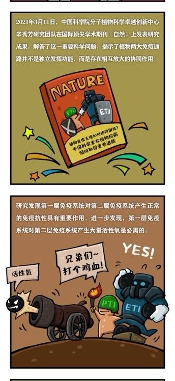 免疫|《自然》刊登上海团队成果：发现植物两大免疫系统协同抗敌