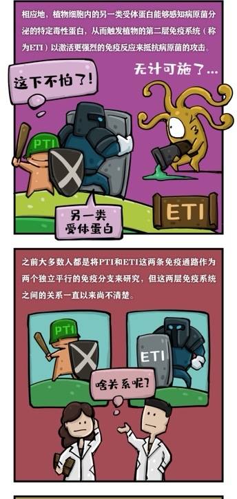 免疫|《自然》刊登上海团队成果：发现植物两大免疫系统协同抗敌